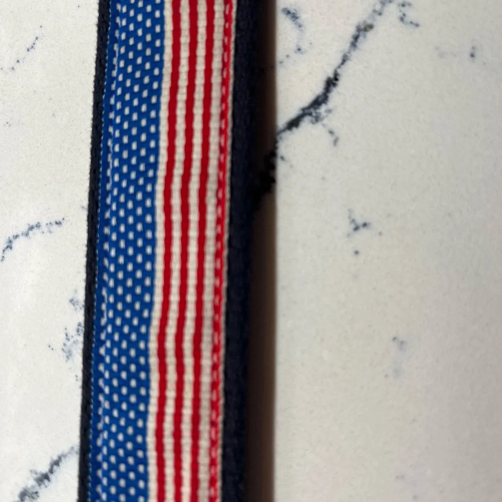 Vineyard Vines Kids Belt with Blue and Pink Stripes